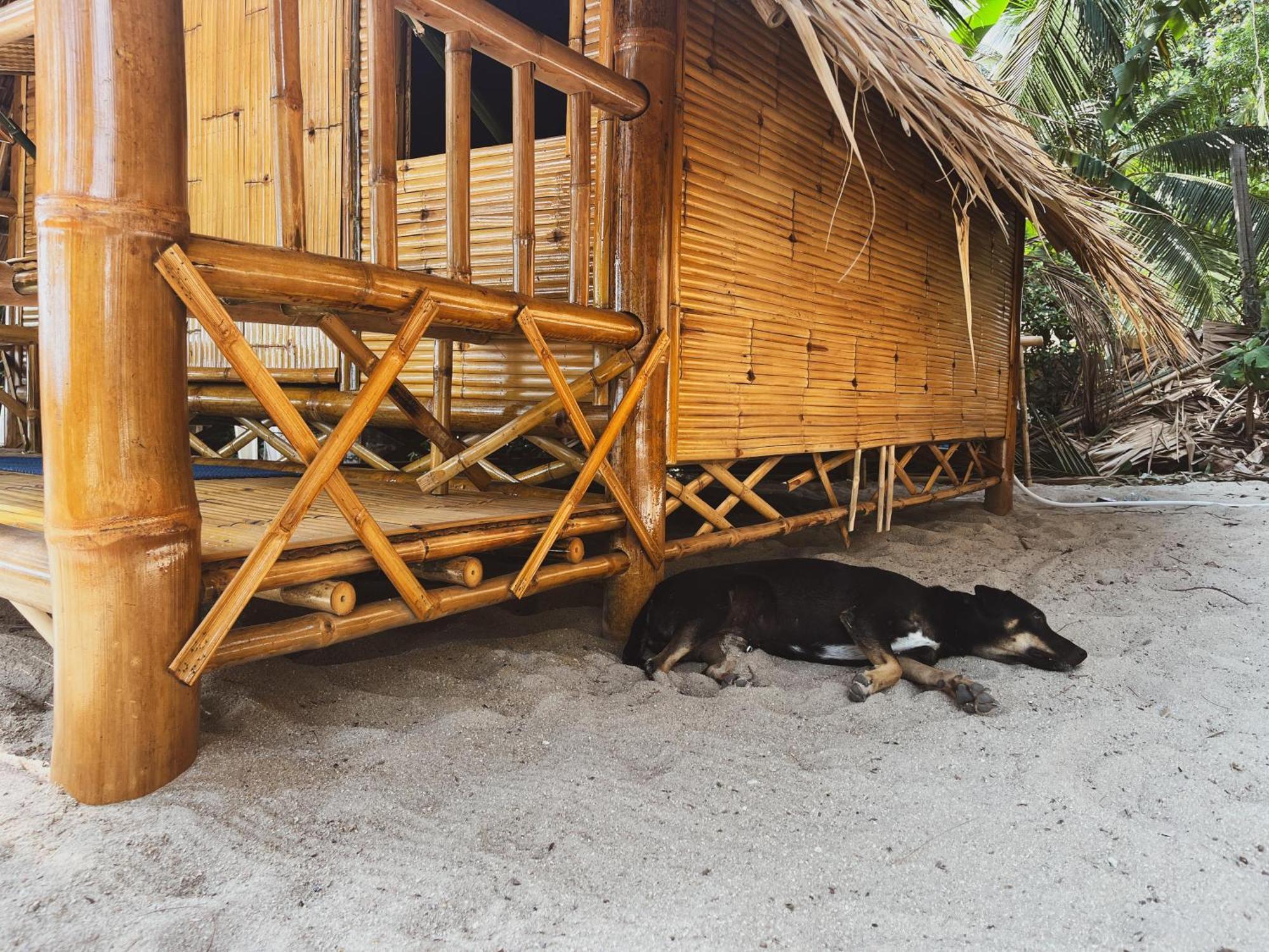 Echo Beach Hostel Baan Tai Bagian luar foto